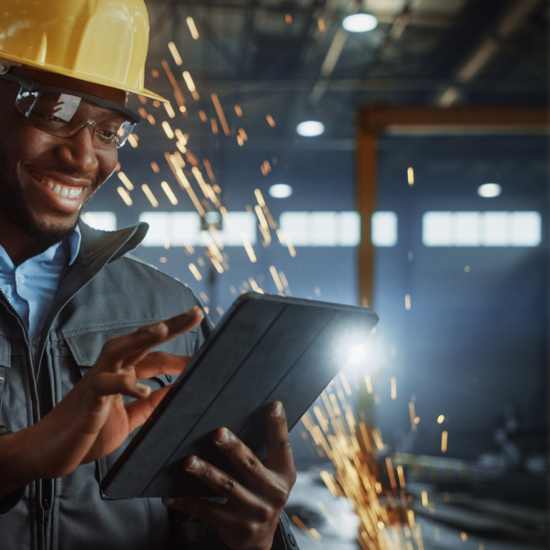 BIS Safety Software