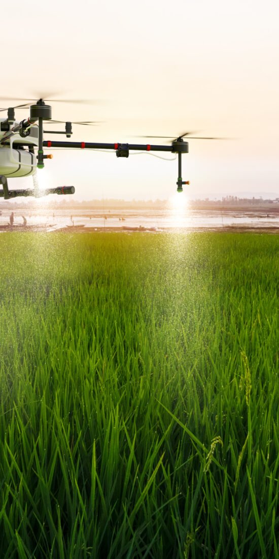 Agriculture FAQ