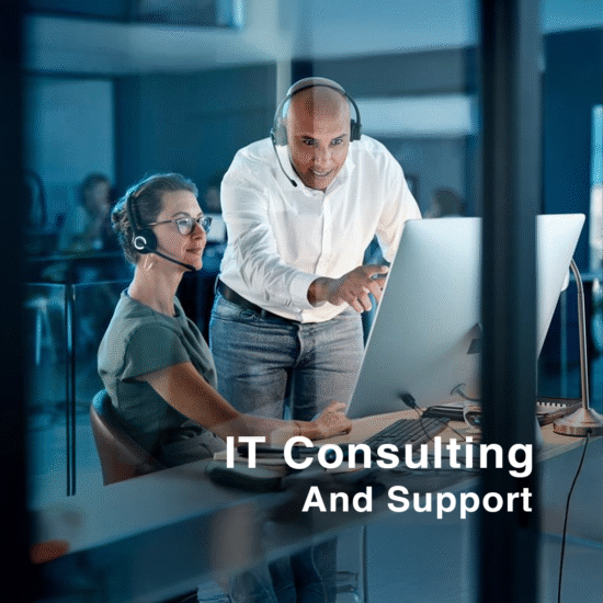 IT Consulting & Support Pjt Img